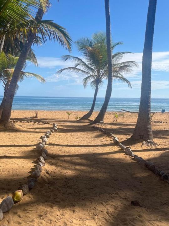 Oceanview Apartment Steps To The Beach Luquillo Exteriör bild