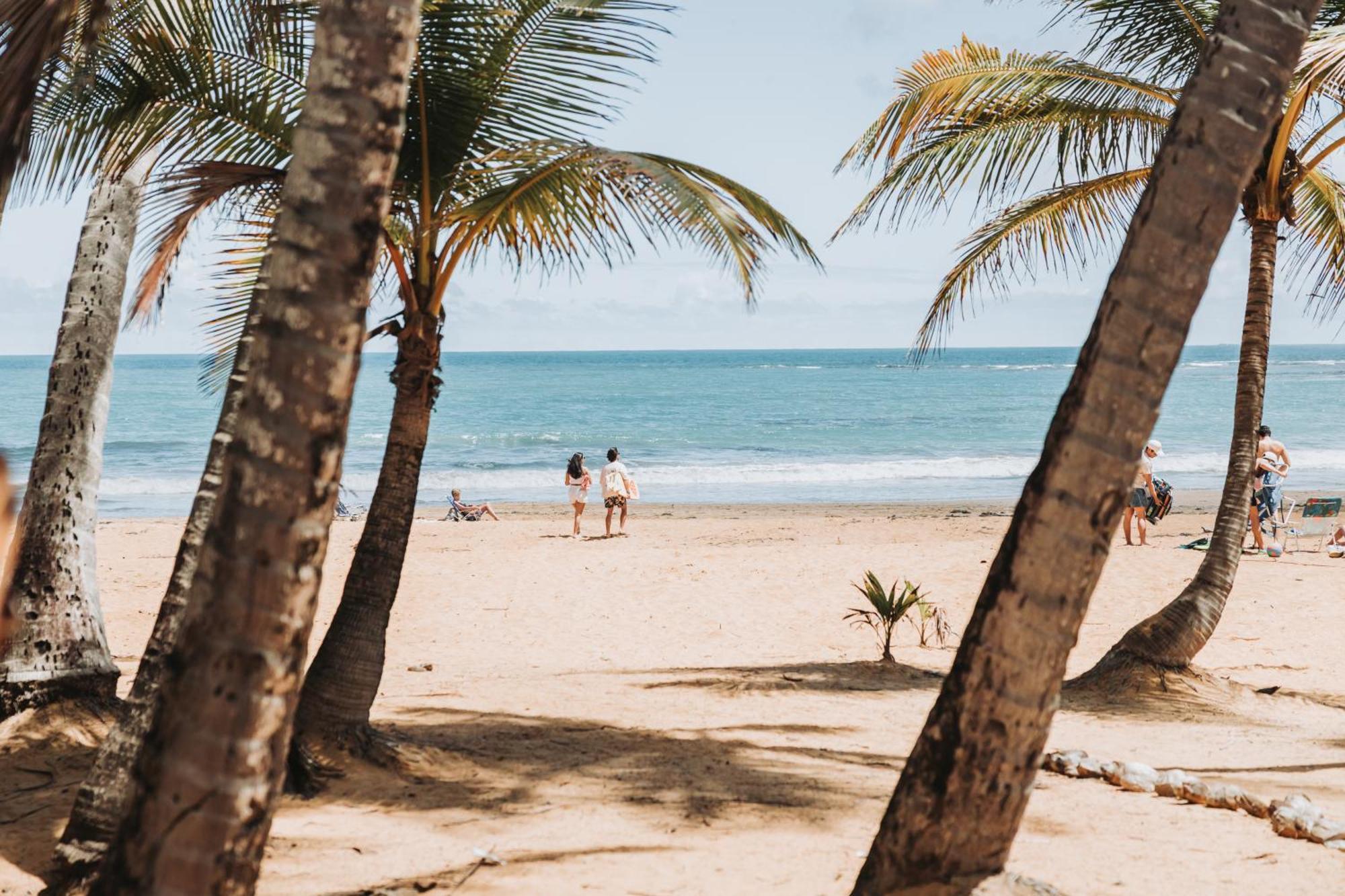 Oceanview Apartment Steps To The Beach Luquillo Exteriör bild