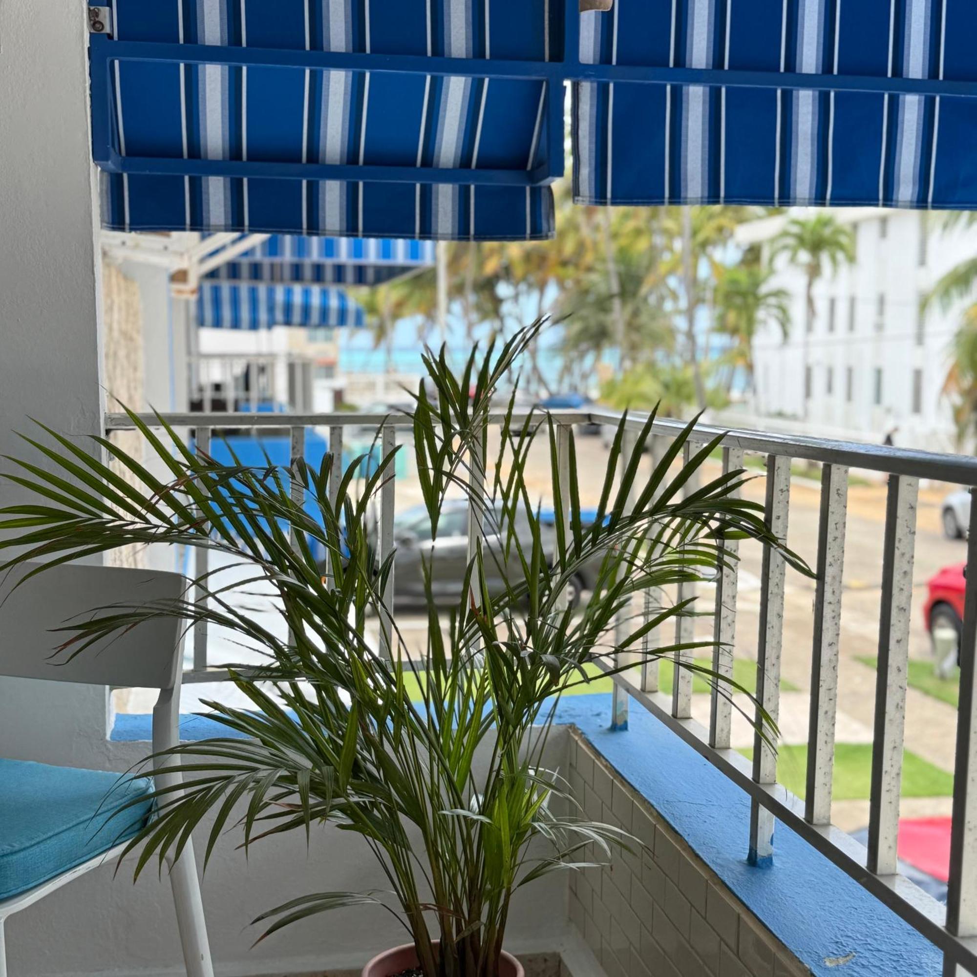 Oceanview Apartment Steps To The Beach Luquillo Exteriör bild