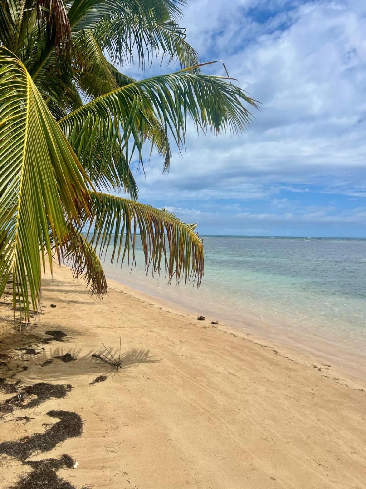 Oceanview Apartment Steps To The Beach Luquillo Exteriör bild